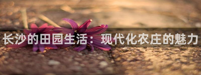 天顺娱乐喊78778