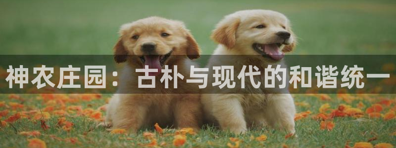 天顺2娱乐平台怎么样