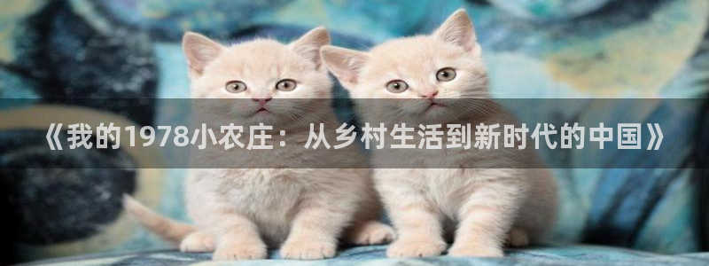 天顺娱乐返943994