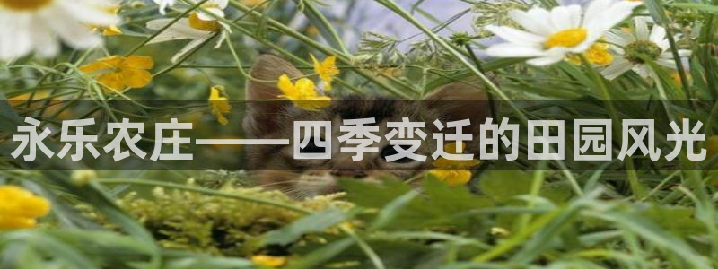 天顺娱乐瘸老A675 138