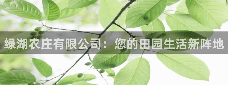 天顺娱乐怪943994