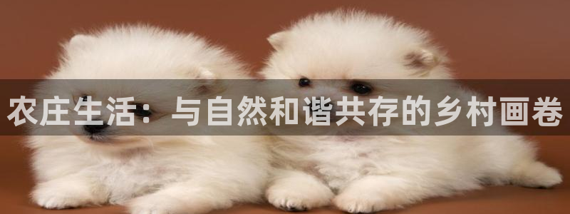 天顺娱乐主管学