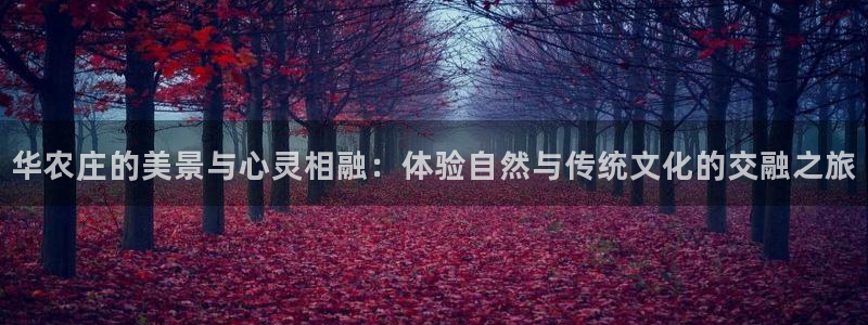 天顺娱乐禾33300j