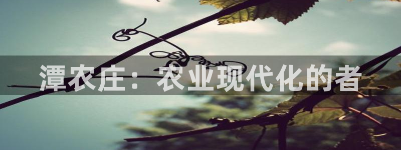天顺娱乐负责人卜网pg22650