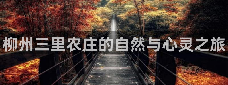 天顺娱乐 诚信p官58856