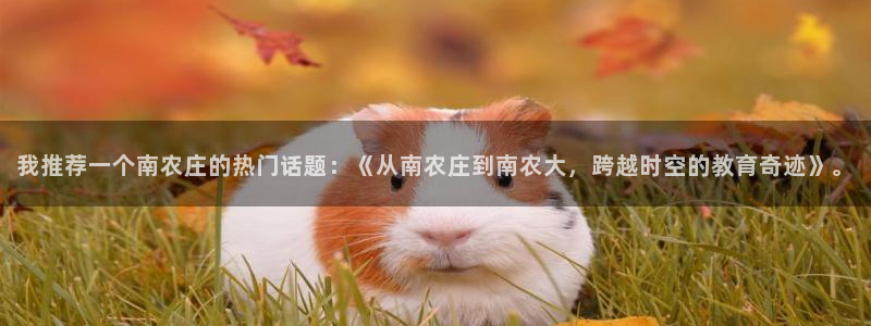 天顺平台娱乐