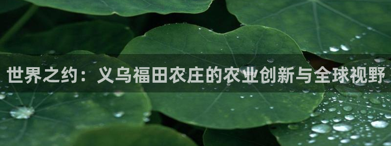 天顺娱乐覆943994