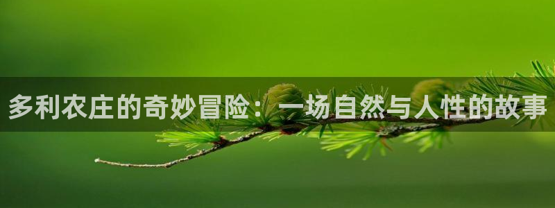 天顺娱乐肝943994