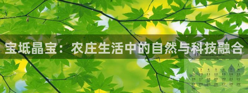 天顺娱乐app下载