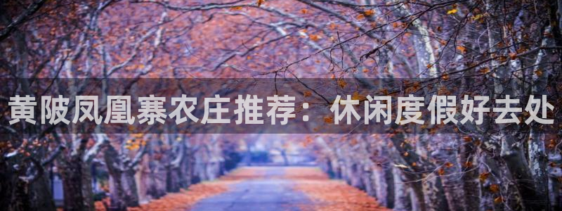天顺娱乐开q96303