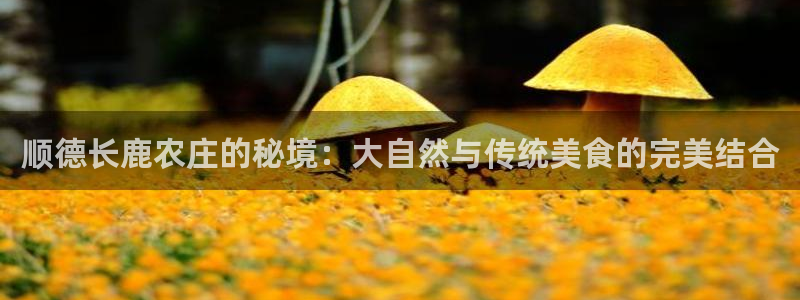 天顺娱乐主管微信