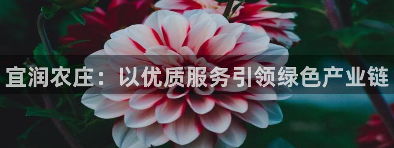 天顺娱乐总代理是谁呀