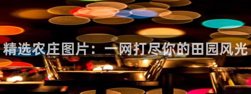 娱乐主播聊天顺序