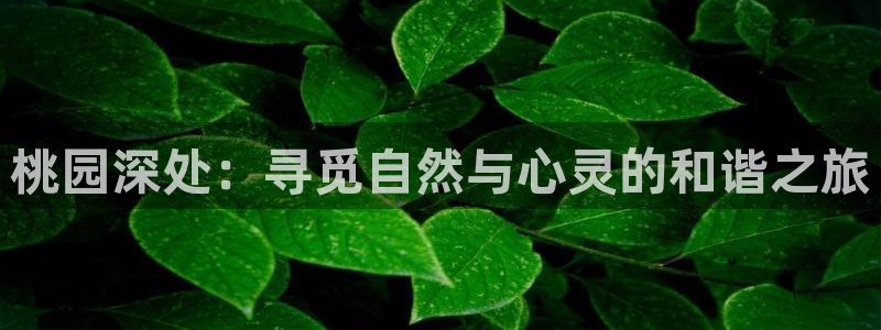 天顺娱乐论品判p29999