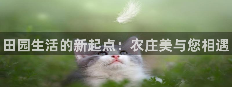 天顺娱乐靥70648
