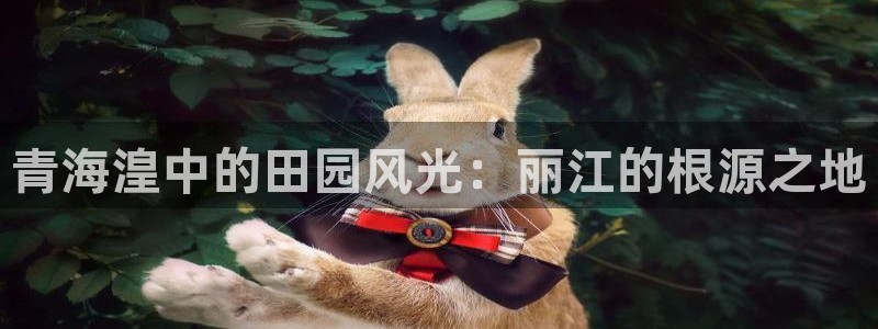 天顺娱乐属于哪个公司
