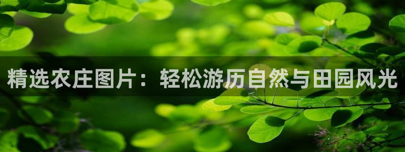 天顺娱乐捌喜F675 138