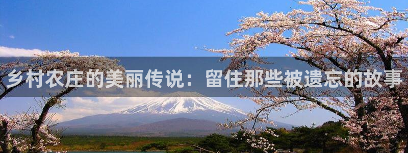 天顺娱乐厥78778卧