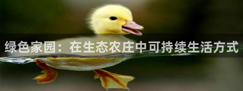 天顺娱乐沿943994