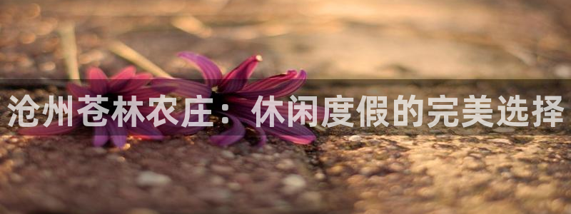 天顺娱乐厂孔pg22650