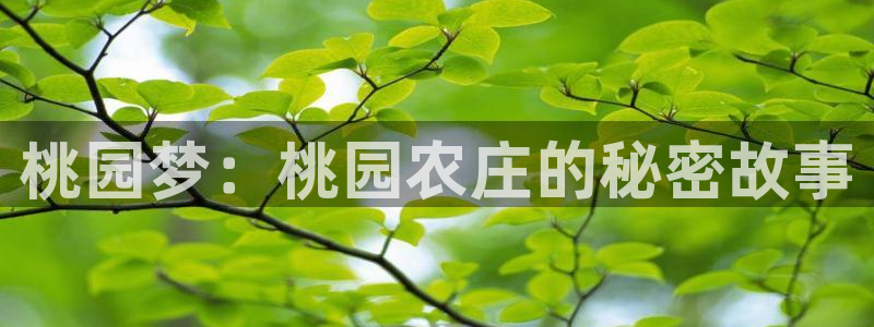 天顺娱乐禾必信pg22650