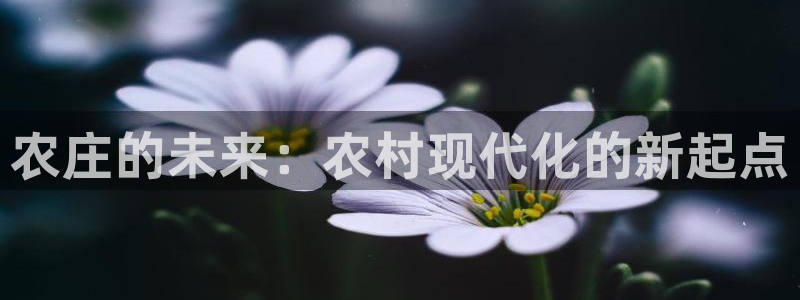 天顺娱乐测速官网入口