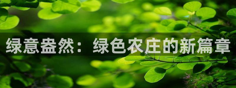 天顺娱乐20i判官333OO