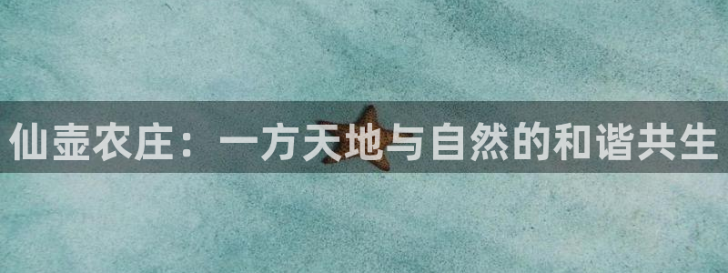 天顺娱乐觅
