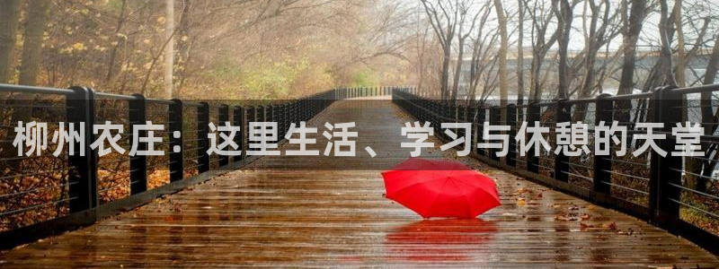 天顺娱乐大量 62562k