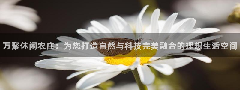 天顺娱乐nu金忄手忄指rx