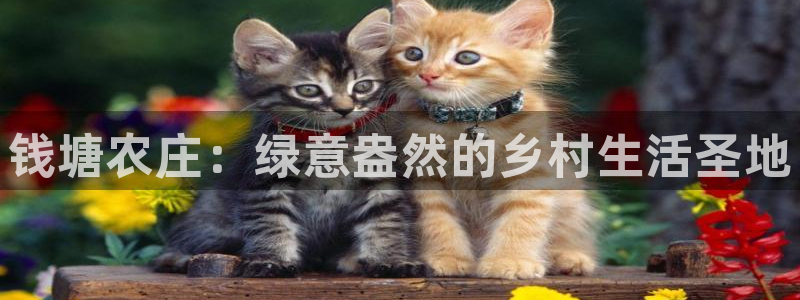 天顺娱乐地址查询电话