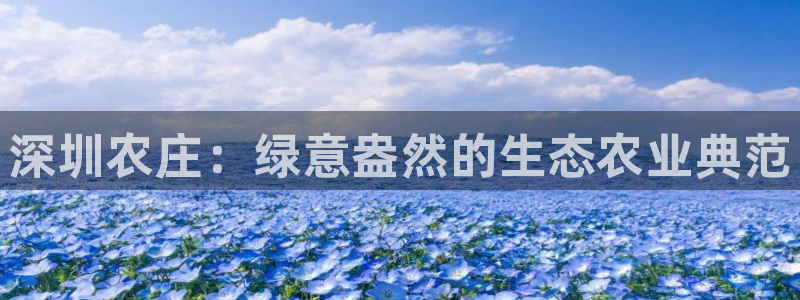 天顺娱乐负责人凵化pg22650