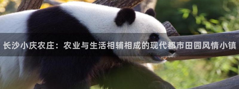 天顺娱乐代理怎么赚钱