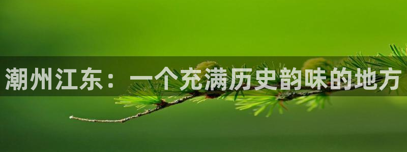娱乐聊天顺口溜大全