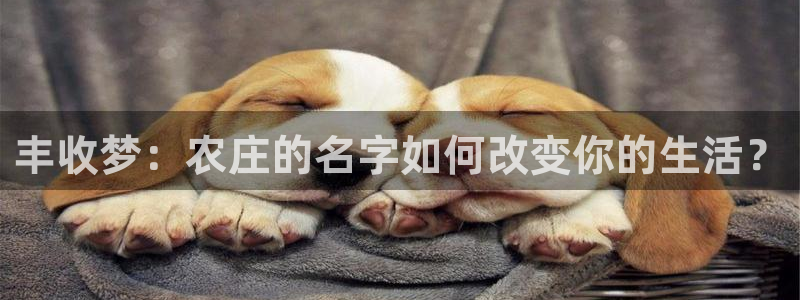 天顺娱乐 c招a商77130