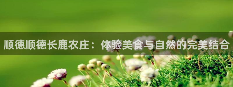天顺娱乐心野29999