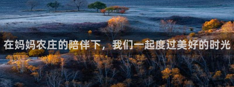 天顺娱乐盘罗判p29999
