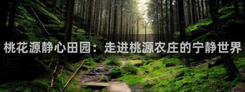 天顺娱乐于67五壹叁八