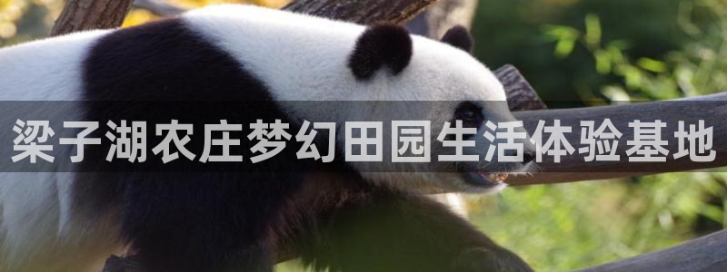 天顺娱乐67 5138