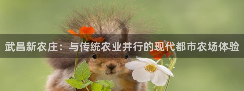 天顺娱乐负责人的品质p29999