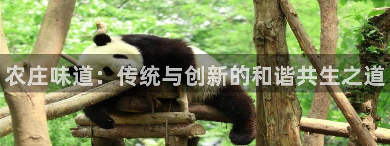 天顺娱乐六七五一三八