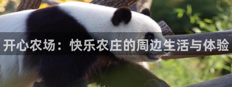 天顺娱乐六七五一三八
