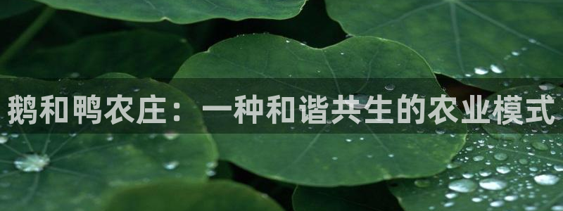 天顺娱乐开户壬泛40996q