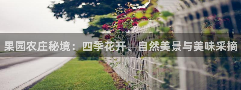 天顺娱乐股票代码