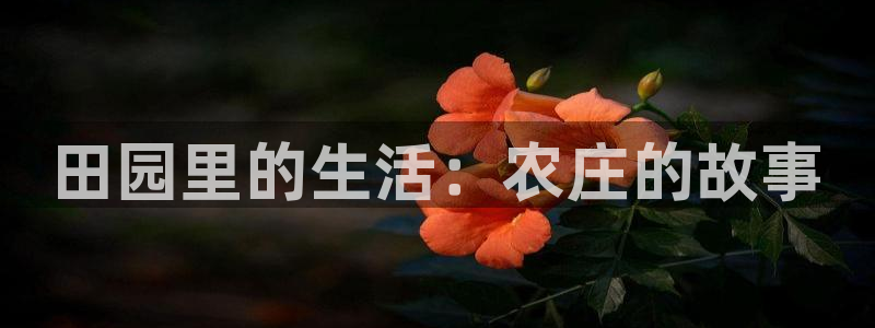 天顺娱乐优七九九47