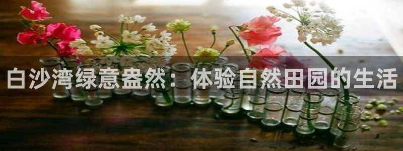 天顺娱乐卧3300