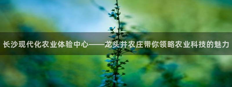 天顺娱乐车信22650