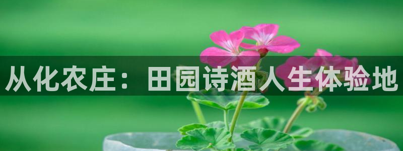 天顺娱乐招商左原判官333OO