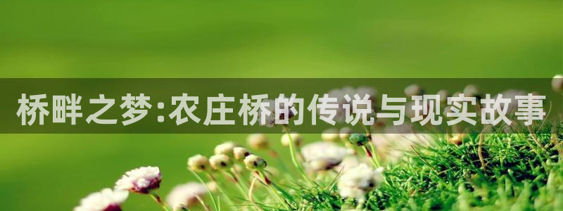 天顺娱乐聆且判p29999
