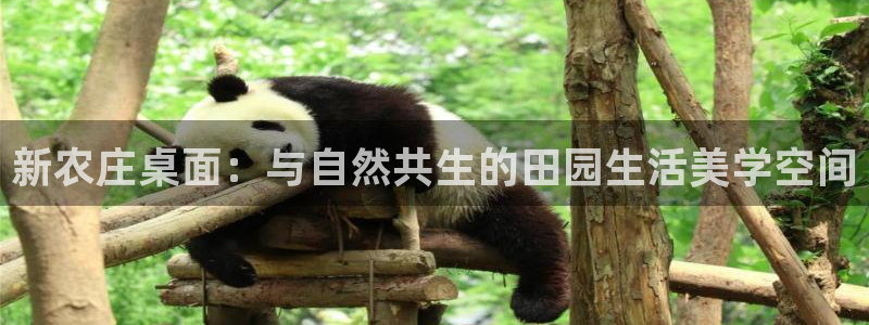 天顺娱乐扣53553